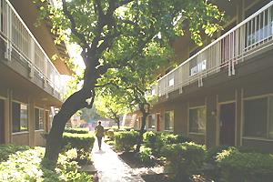 City Gardens Apartments 